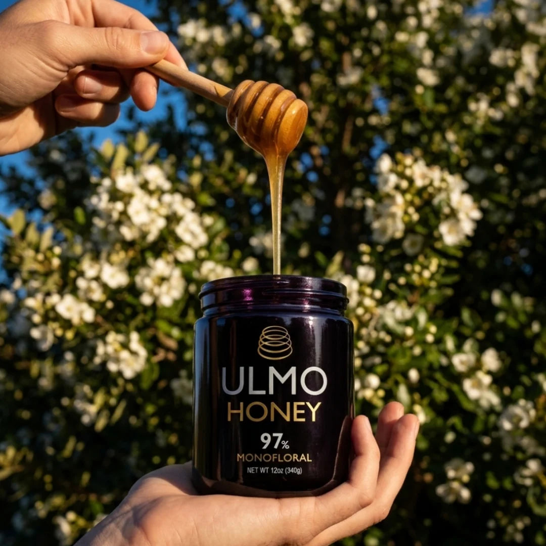 Honey - Ulmo Honey